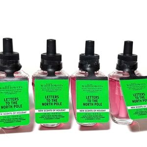 LETTERS TO THE NORTH POLE Wallflowers